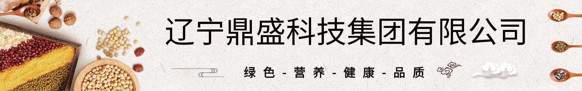 辽宁鼎盛科技集团有限公司